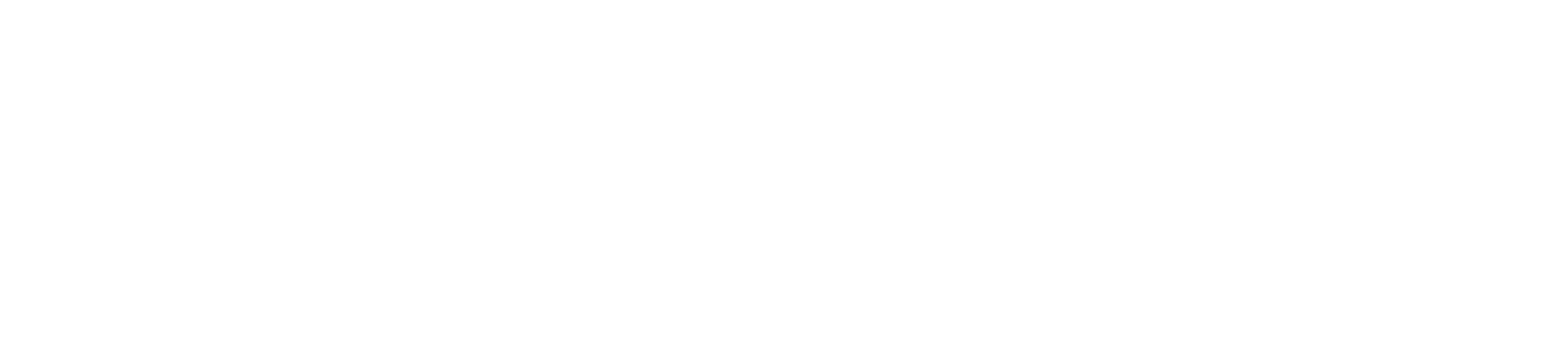 Fiscal.ai Logo